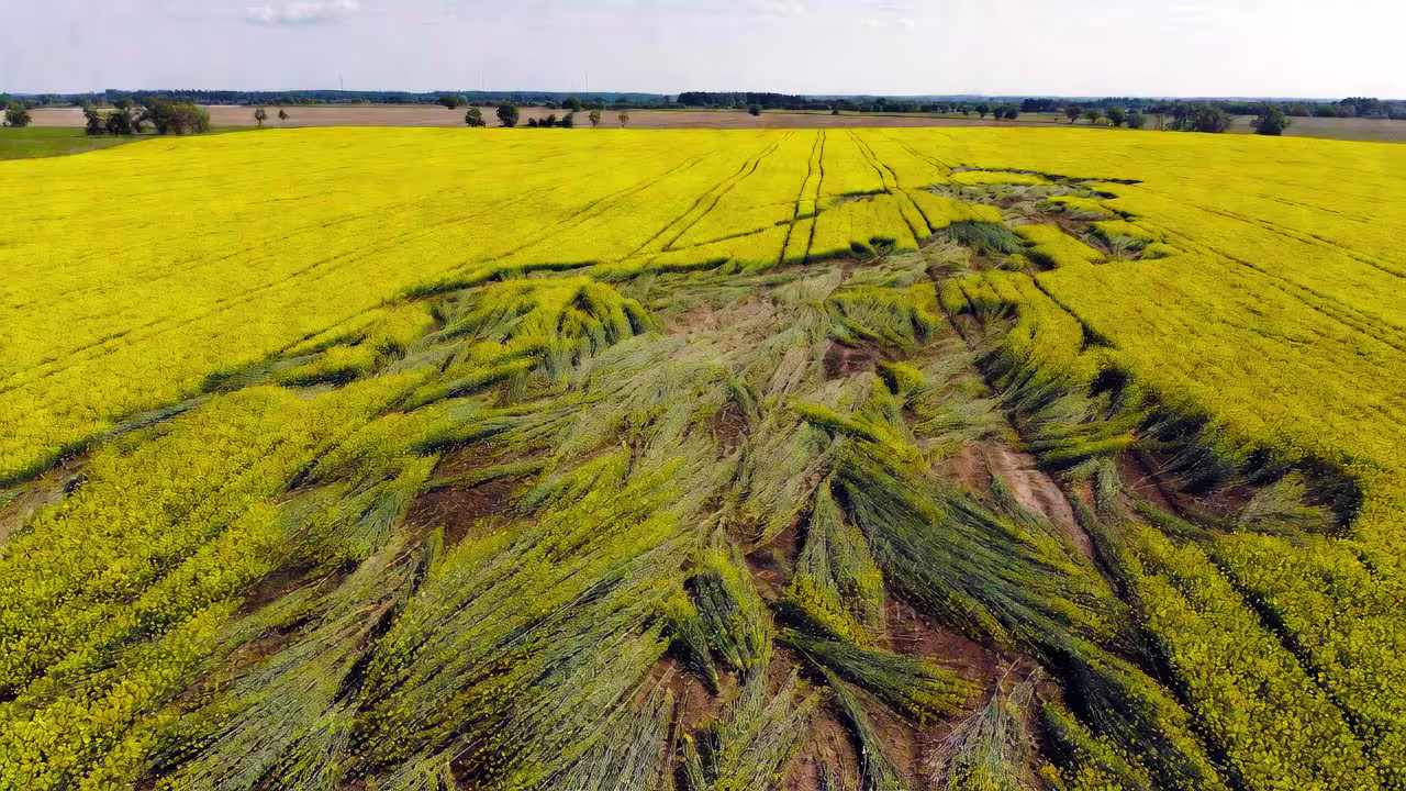 Farm Inspections and Documentation