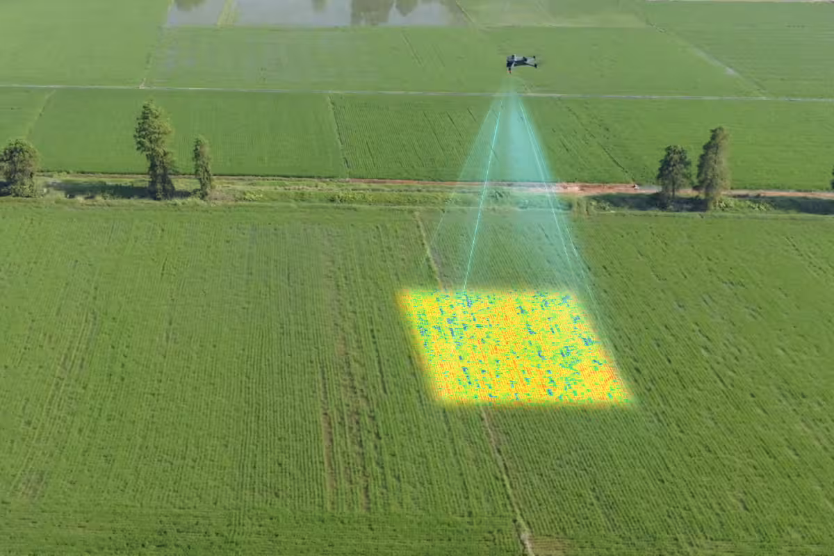 NDVI colour-coded crop health map from drone survey