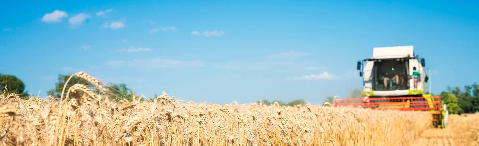 Agricultural drone services across Alberta farmland