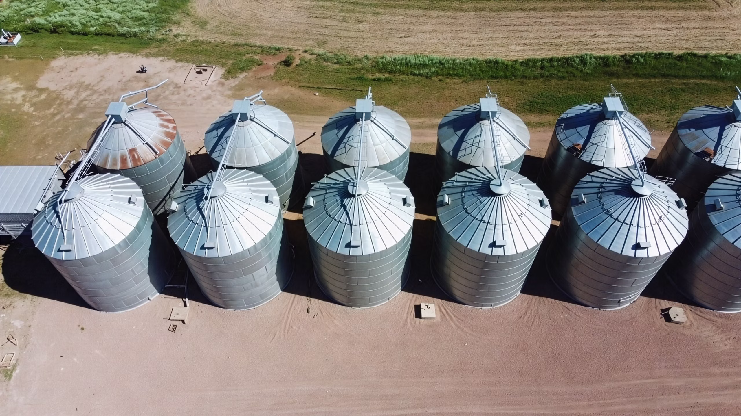 Grain bins on a central Alberta farm